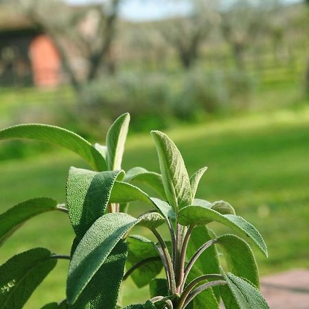 Agriturismo La Mandragola Relais Crotone Zewnętrze zdjęcie