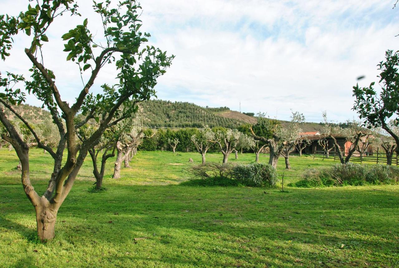 Agriturismo La Mandragola Relais Crotone Zewnętrze zdjęcie