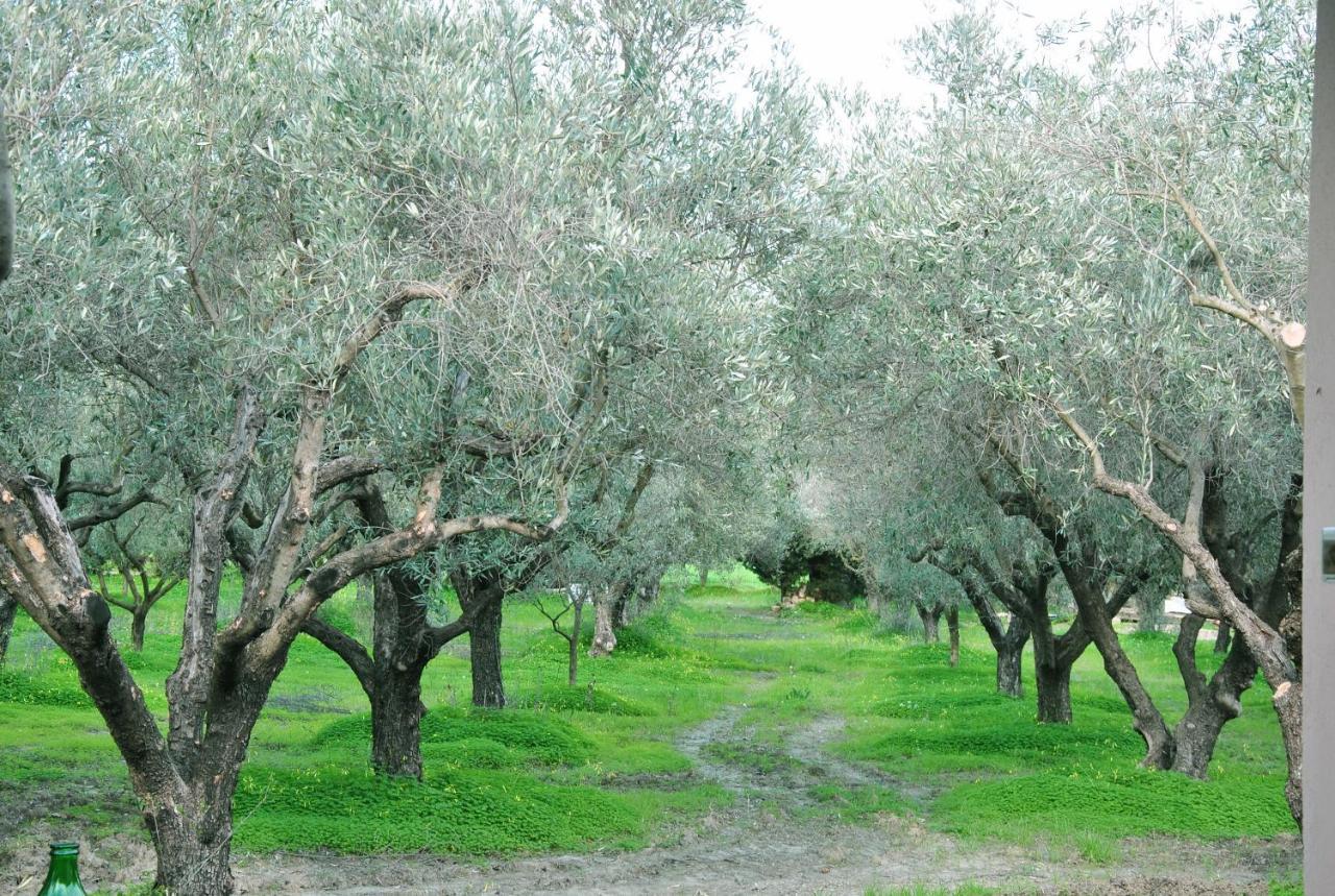 Agriturismo La Mandragola Relais Crotone Zewnętrze zdjęcie